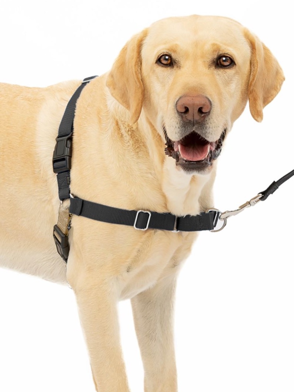 PetSafeĀ® Easy Walk Dog Harness, No Pull Dog Harness Size M/L